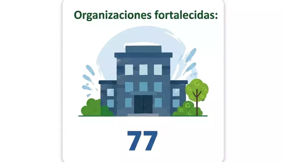 cifras4