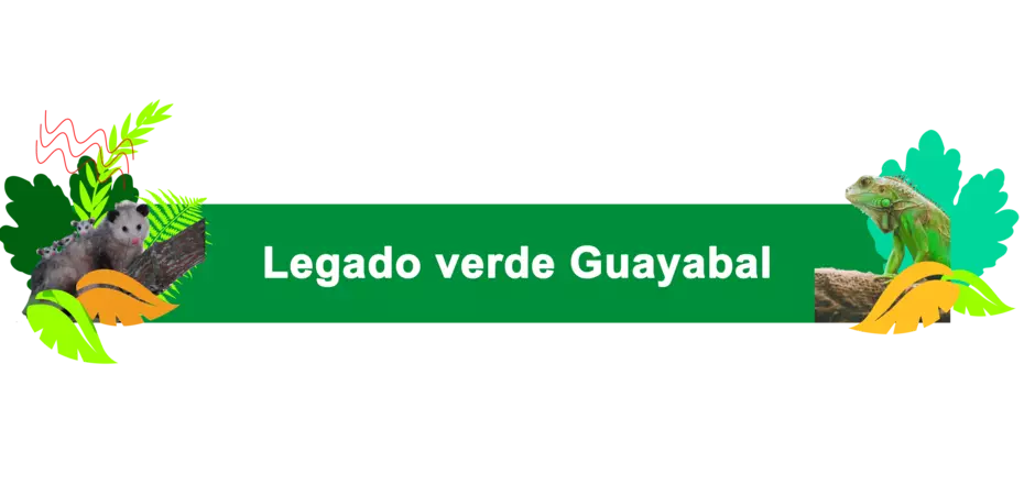legado