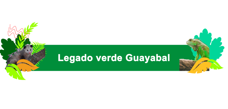 legado